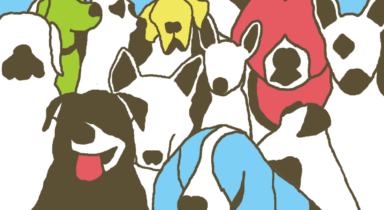 The Format - Dog Problems