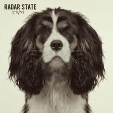 Radar State - Strays