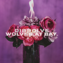 Wolves At Bay - Dissolve