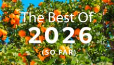 Best of 2026 (So Far)